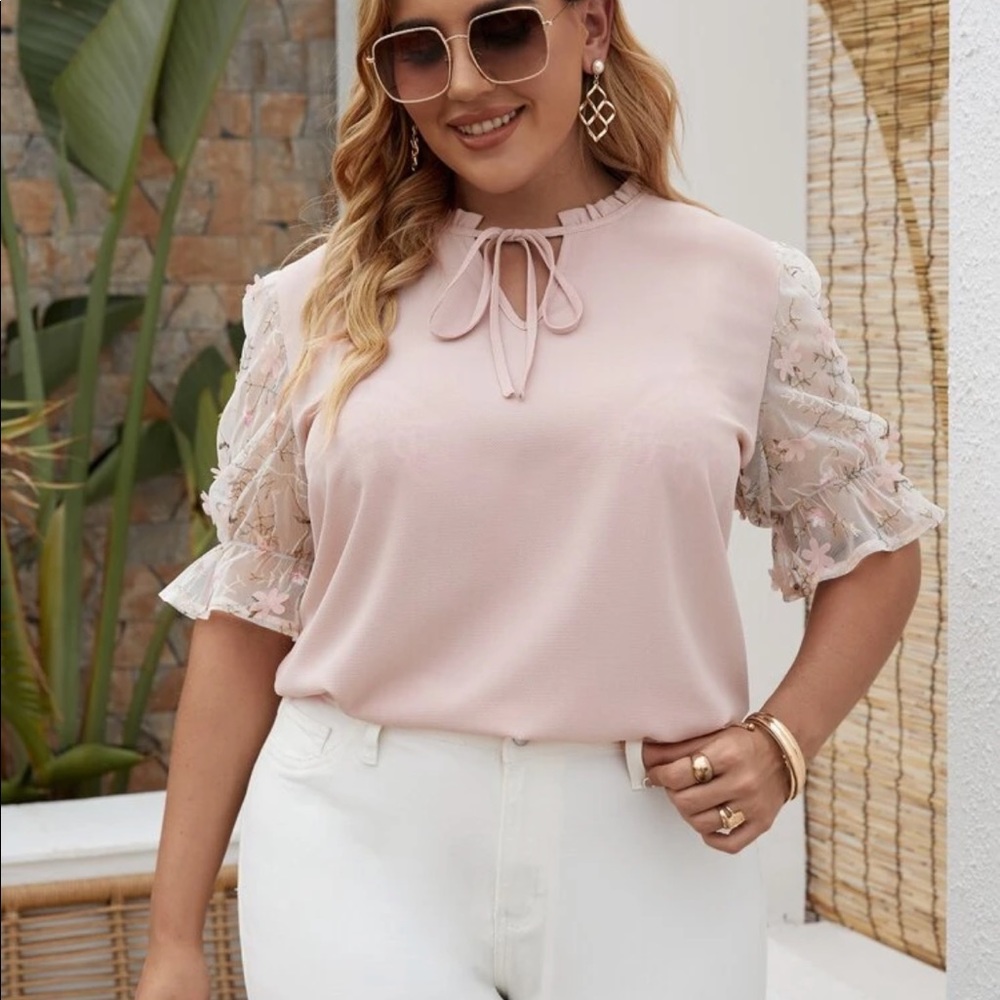 Shein Light Pink Sheer Sleeve Top